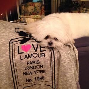 Meet your Posher, Evelyn